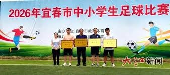 意甲球员身价大幅下滑 莱奥和卢卡库的困境